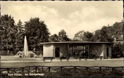 Ak Bad Kösen Naumburg an der Saale, Im Wildgehege, Springbrunnen