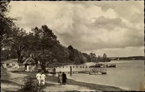 Ak Luftkurort Plau am See, Seelust, Wegpartie am See, Bootsstege