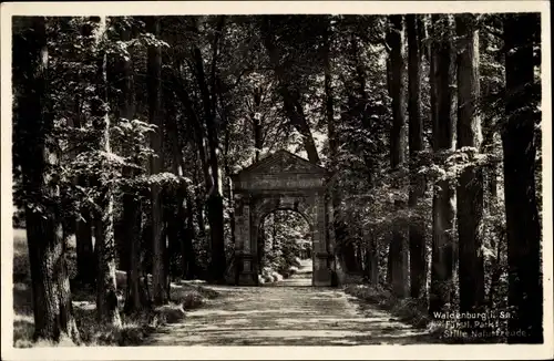 Ak Waldenburg in Sachsen, Fürstl. Park, Stille Natur