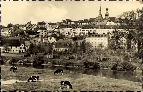 Ak Waldenburg in Sachsen, Teilansicht, Kuhweide