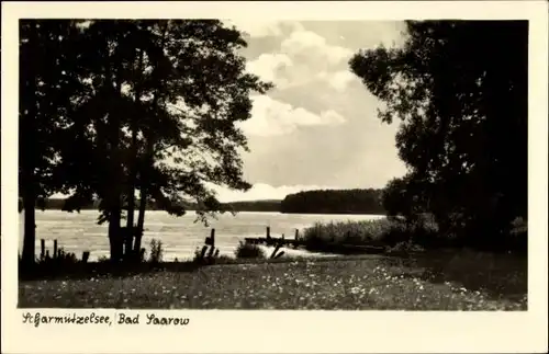 Ak Bad Saarow in der Mark, Scharmützelsee