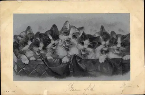 Künstler Ak Kleine Katzen mit Halsbändern