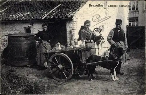 Ak Laitière flamande, Flämisches Milchmädchen, Zughund, Hundekarren