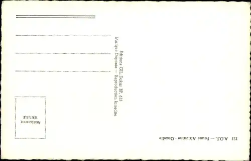 Ak Afrikanische Fauna, Gazelle