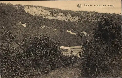 Ak Esneux Wallonie Lüttich, Roche aux Faucons