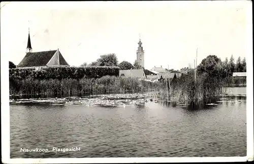 Ak Nieuwkoop Südholland Niederlande, Plasgezicht