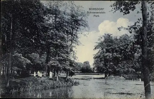 Ak Borsdorf in Sachsen, Schwanenteich-Park