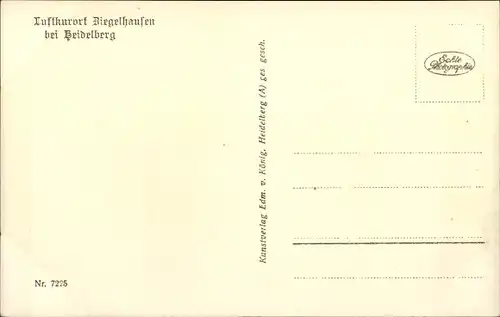 Ak Ziegelhausen Heidelberg am Neckar, Totalansicht, Brücke