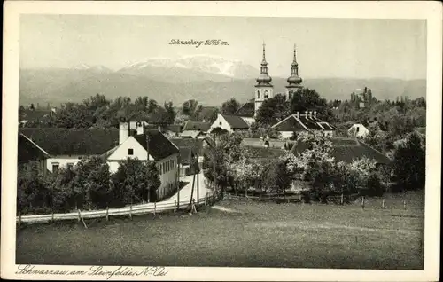 Ak Schwarzau am Steinfeld Niederösterreich, Panorama