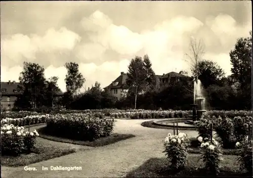 Ak Gera in Thüringen, Im Dahliengarten, Springbrunnen