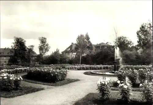 Ak Gera in Thüringen, Im Dahliengarten, Springbrunnen