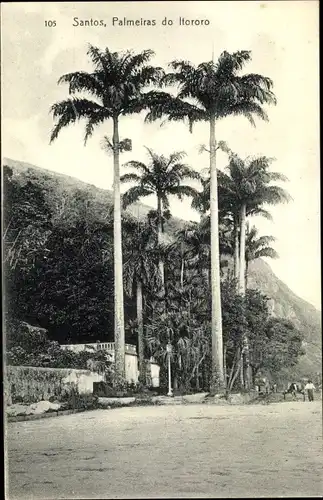Ak Santos Brasilien, Palmeiras do Itororo