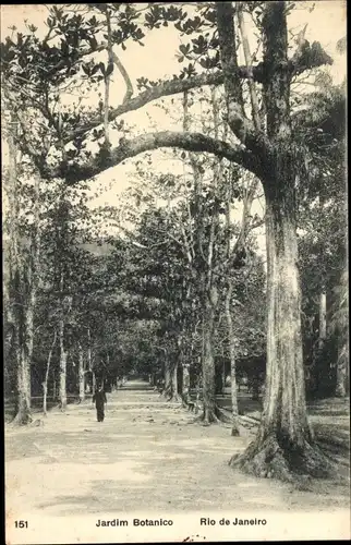 Ak Rio de Janeiro Brasilien, Jardim Botanico