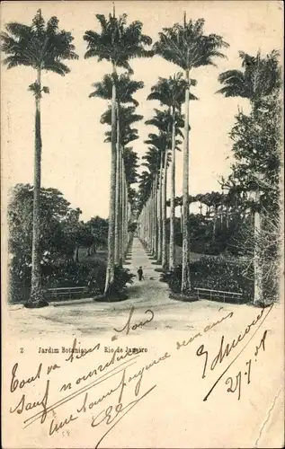 Ak Rio de Janeiro Brasilien, Jardim Botanico