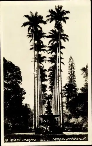 Ak Rio de Janeiro Brasilien, Jardim Botanico