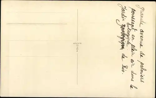 Ak Rio de Janeiro Brasilien, Jardim Botanico