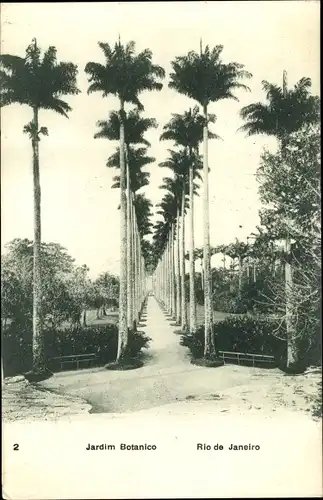 Ak Rio de Janeiro Brasilien, Jardim Botanico