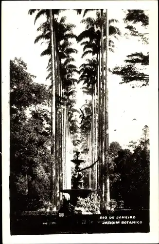 Ak Rio de Janeiro Brasilien, Jardim Botanico