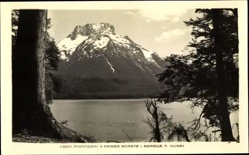 Ak Argentinien, Lago Mascardi y Cerro Bonata, Parque N. Huapi