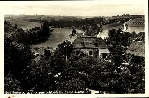 Ak Ronneburg in Thüringen, Blick vom Schlossturm ins Gessental