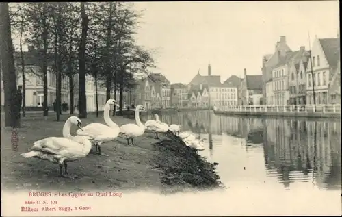 Ak Bruges Brügge Flandern Westflandern, Les Cygnes au Quai Long, Schwäne