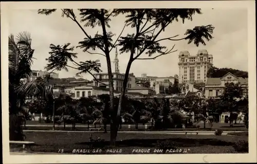 Foto Ak São Paulo Brasilien, Park Don Pedro II