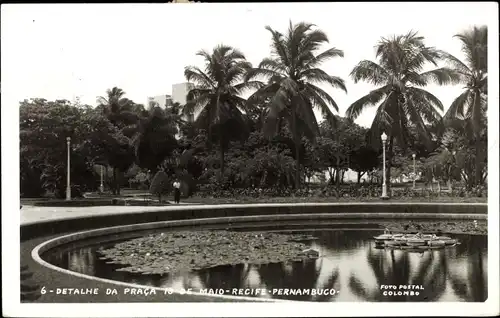 Ak Pernambuco Brasilien, Teichanlage im Park, Palmen