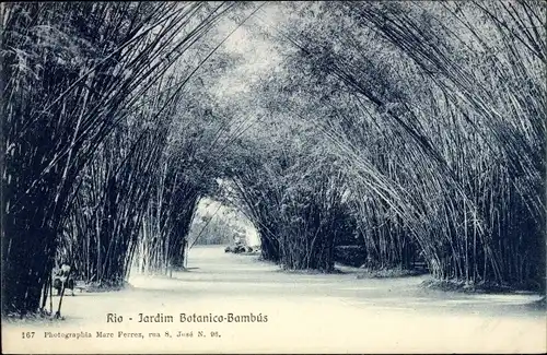 Ak Rio de Janeiro Brasilien, Jardim Botanico Bambus