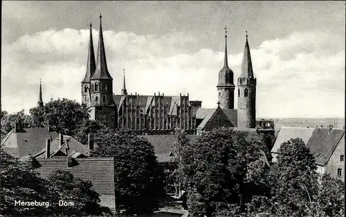 Ak Merseburg an der Saale, Dom