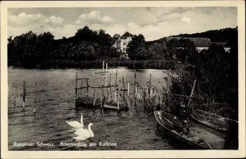 Ak Binenwalde Gühlen Glienicke Neuruppin in Brandenburg, Ruppiner Schweiz, Am Kalksee
