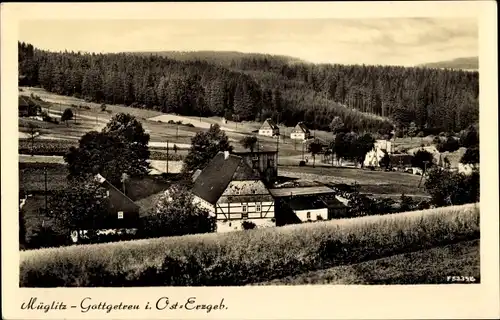 Ak Müglitz Altenberg im Erzgebirge, Gottgetreu, Panorama vom Ort