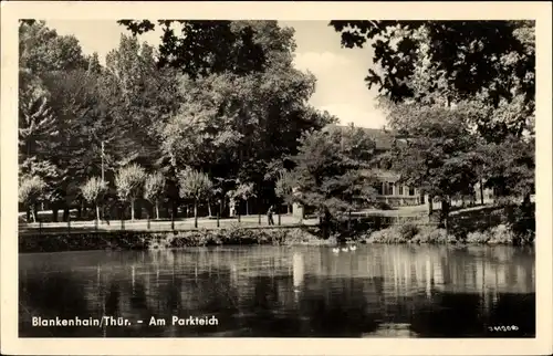 Ak Bad Blankenburg in Thüringen, Am Parkteich