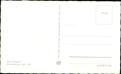 Ak Zwickau in Sachsen, Schwanenteich