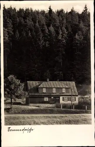 Ak Erlbach im Vogtland, Sommerfrische, Oswald Stark, Landesgemeindetal