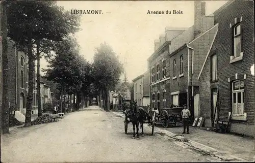 Ak Libramont Wallonien Luxemburg, Avenue du Bois