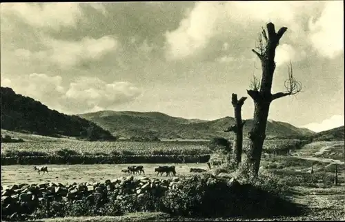 Ak Tucumán Argentinien, Valle de San Javier
