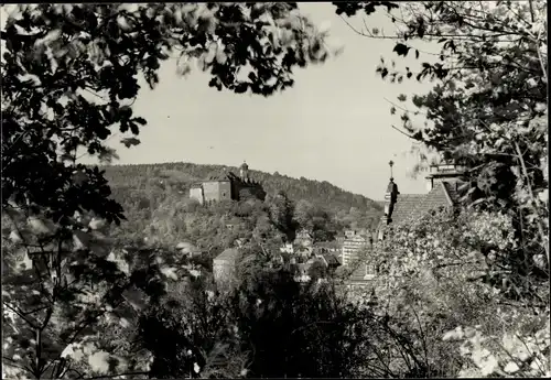 Foto Greiz im Vogtland, Blick über den Ort