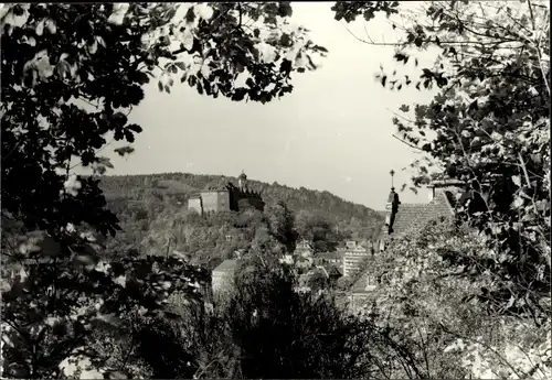 Foto Greiz im Vogtland, Blick über den Ort