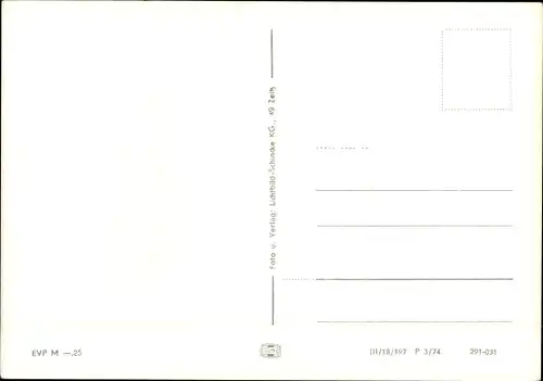 Ak Greiz im Vogtland, Panorama