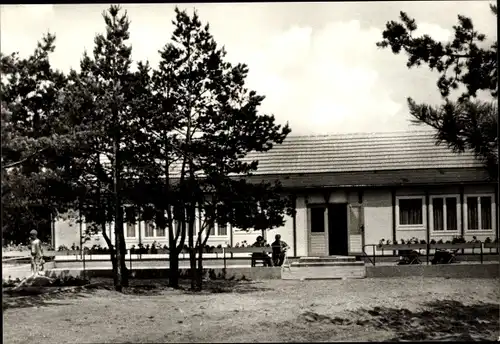 Ak Mellensee in Brandenburg, Ferienheim Kali-Steinsalzwerk Bernburg an der Saale, Kiefernallee