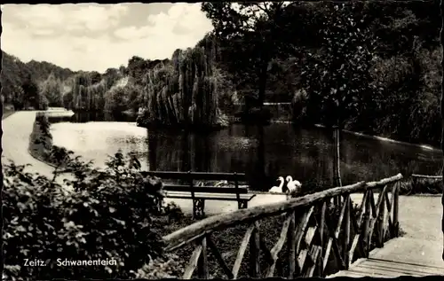 Ak Zeitz im Burgenlandkreis, Schwanenteich, Brücke