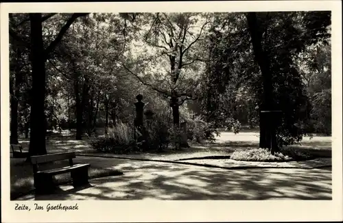 Ak Zeitz im Burgenlandkreis, Im Goethepark