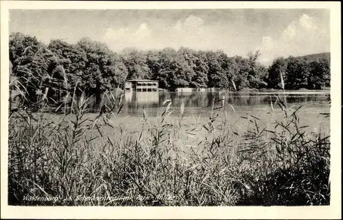 Ak Waldenburg in Sachsen, Schwanenteich, Park-Kaffee