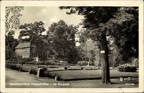 Ak Pretzsch an der Elbe Bad Schmiedeberg, im Kurpark