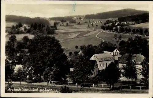 Ak Brunn Auerbach im Vogtland, Teilansicht