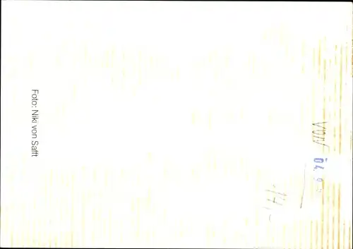 Ak Schauspieler Walter Giller, Portrait, Autogramm