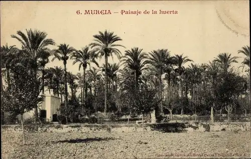 Ak Murcia Stadt Spanien, Paisaje de la huerta