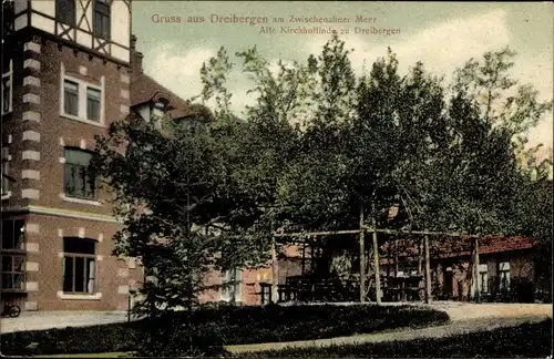 Ak Dreibergen Bad Zwischenahn in Oldenburg, Kirchhoflinde