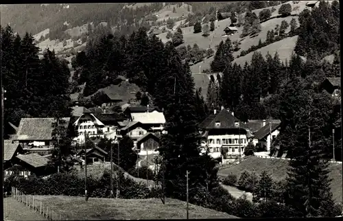 Ak Weissenburg im Simmental Kanton Bern, Teilansicht