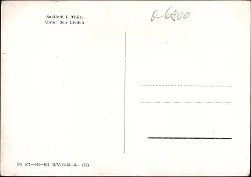 Ak Saalfeld an der Saale Thüringen, Unter den Lieden, Passanten